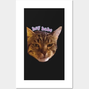 Hey babe tabby cat funny meme Posters and Art